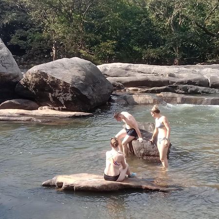 Jungle Village Homestay Pinnawala  Kültér fotó