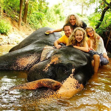 Jungle Village Homestay Pinnawala  Kültér fotó