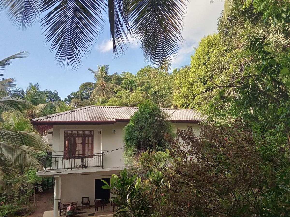 Jungle Village Homestay Pinnawala  Kültér fotó