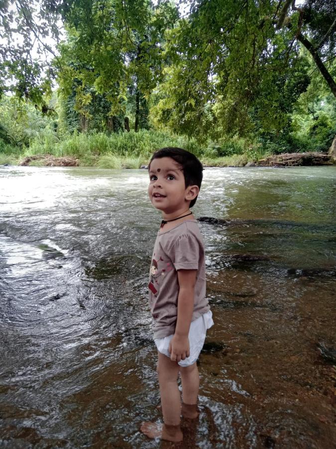 Jungle Village Homestay Pinnawala  Kültér fotó