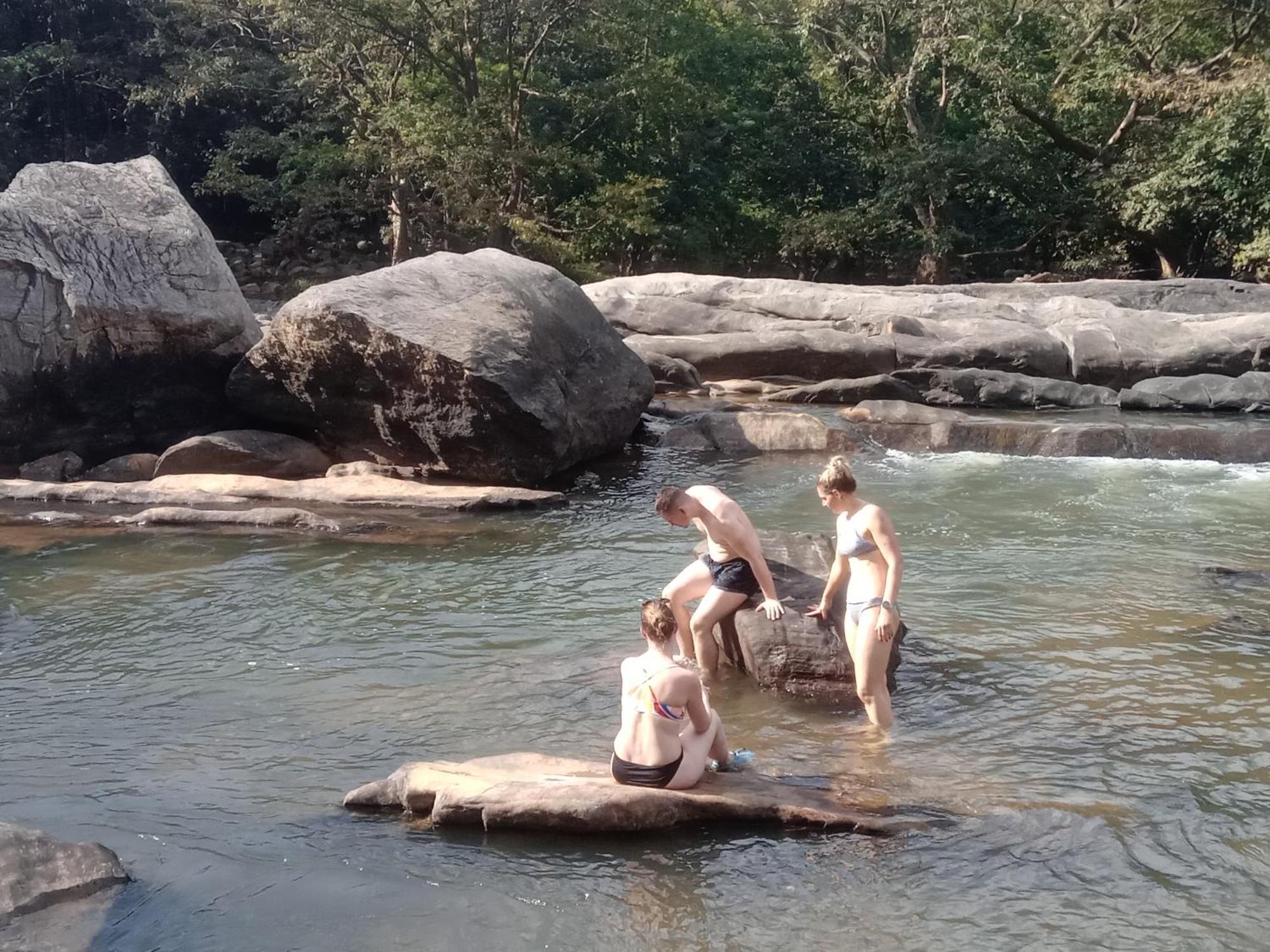 Jungle Village Homestay Pinnawala  Kültér fotó