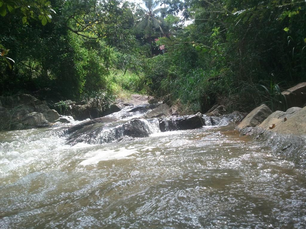 Jungle Village Homestay Pinnawala  Kültér fotó