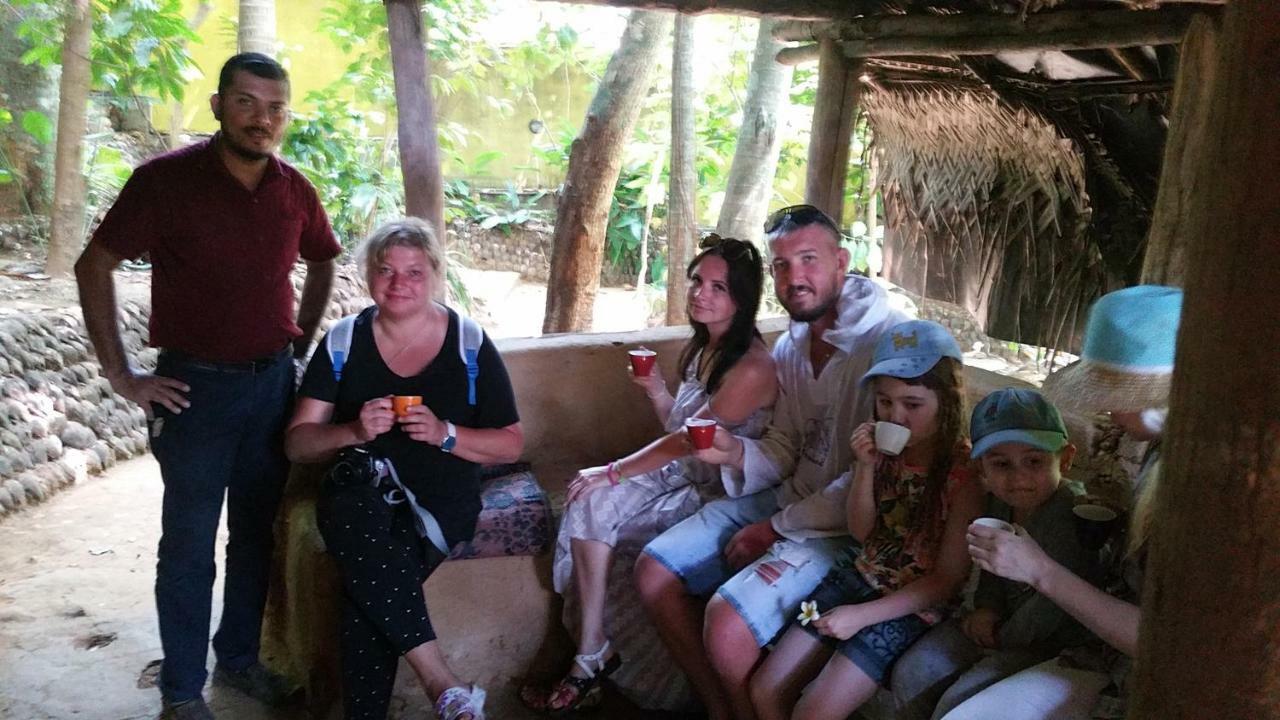 Jungle Village Homestay Pinnawala  Kültér fotó